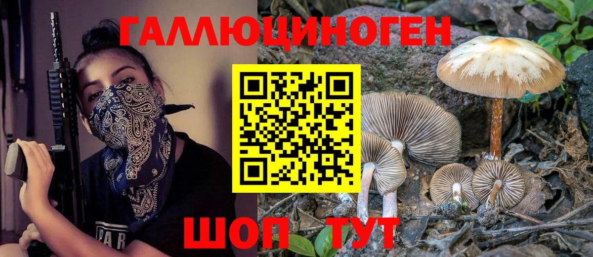 Псилоцибиновые грибы мицелий  Вход с VPN  Старая Купавна  Псилоцибиновые грибы мухоморы 